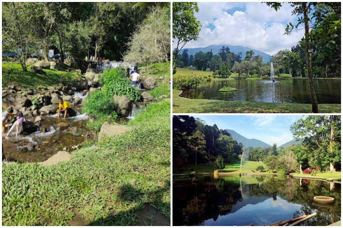 Suasana di dalam kawasan Kebun Raya Cibodas.