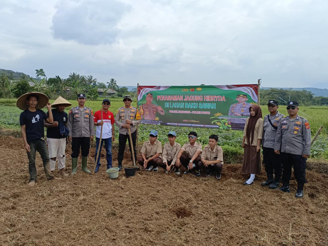 Petani di Desa Kalongliud, Kecamatan Nanggung, Kabupaten Bogor, memanfaatkan lahan tidur seluas 3 hektare untuk ditanami Jagung Hibrida.