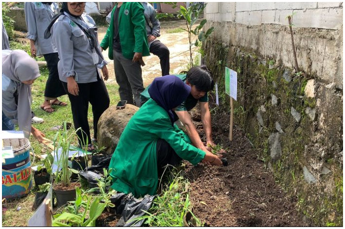 Apotek Hidup di Pekarangan Ponpes As Syarofah, Desa Situ Ilir, Kecamatan Cibungbulang, Kabupaten Bogor