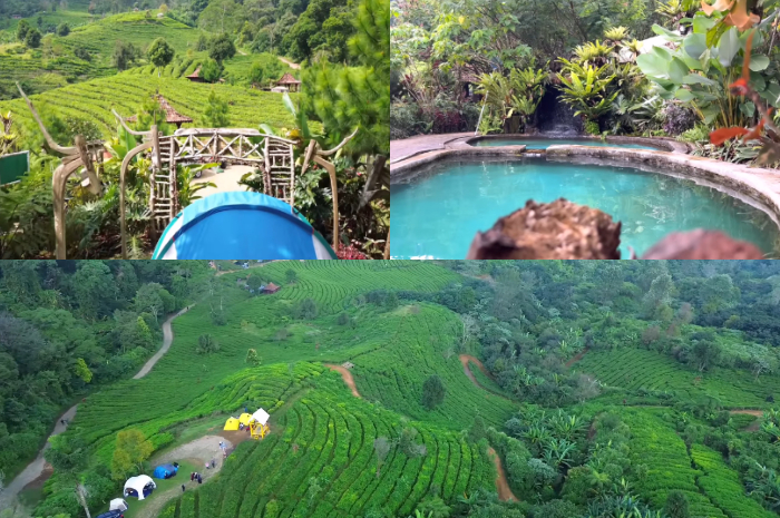 Wisata camping di Pinus Ecopark Puncak Bogor