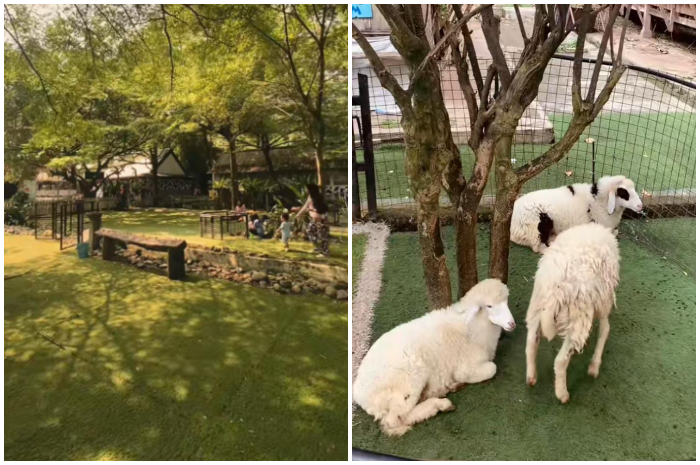 Salah satu fasilitas di kawasan&nbsp;D&rsquo;Kandang Amazing Farm Kota Depok.