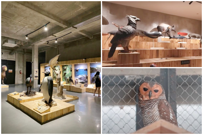 Suasana di Animalium Science Center di Kawasan Sains dan Teknologi (KST) Soekarno BRIN, Cibinong.