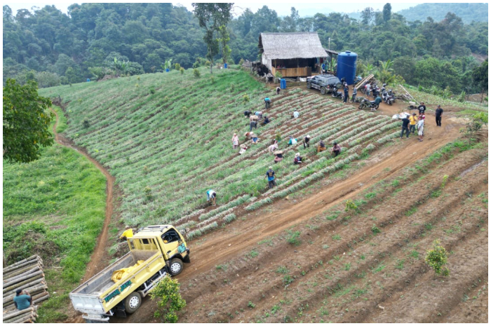Meski telah menghasilkan puluhan ton, Infrastruktur jalan masih menjadi kendala para petani bawang merah di Sukajaya.