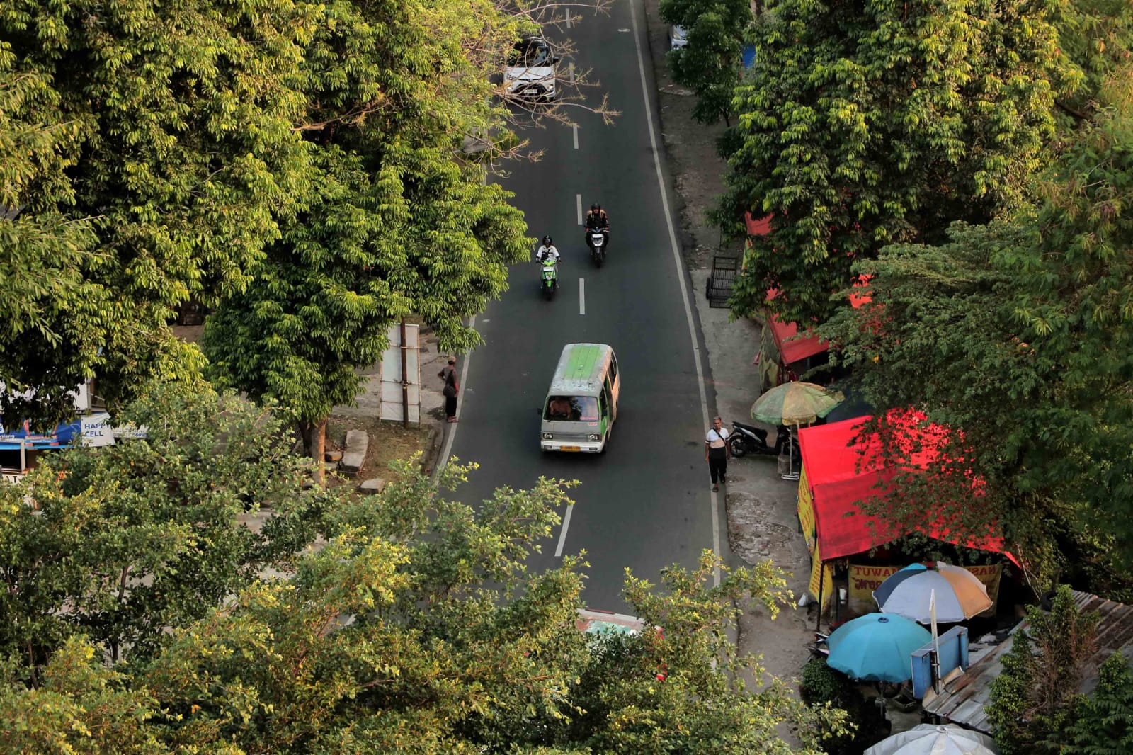 Sejumlah kendaraan melintas di Jalan Pemuda yang dikelilingi pepohonan, Kota Bogor, Jumat 12 September 2025.
