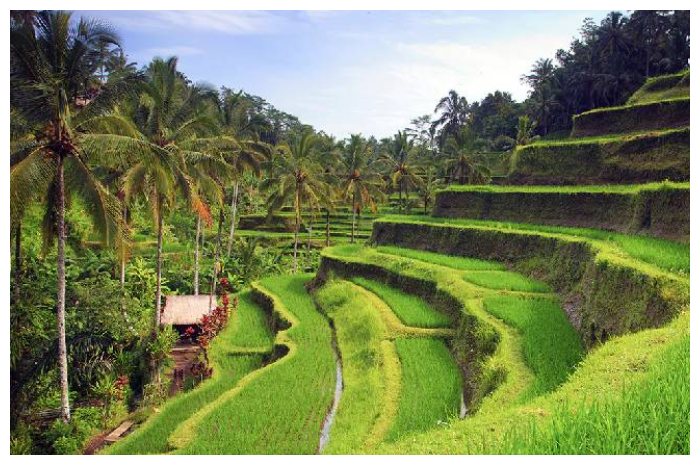 Salah satu destinasi wisata alam yang ada di Pulau Bali.