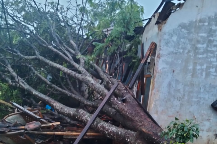 Pohon tumbang di Griya Salak Asri, Bogor menimpa rumah.
