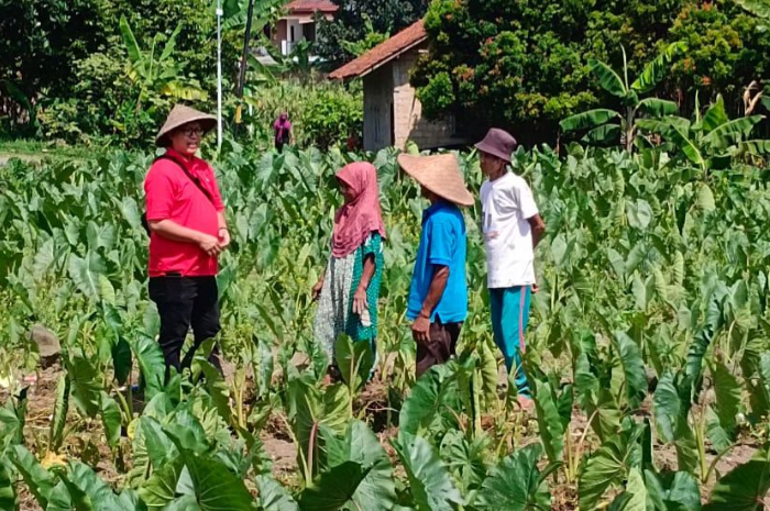 Reses Wakil Ketua III DPRD Kota Bogor Dadang Iskandar Danubrata di Kelurahan Mulyaharja, Kecamatan Bogor Selatan.