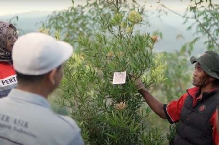 Dinas Kehutanan Jawa Barat bersama PT Pertamina Luncurkan Program Flora Legacy di desa Sukapura, Tasikmalaya.