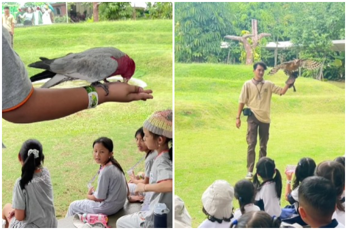 Pertunjukkan di Aviary Park Indonesia.