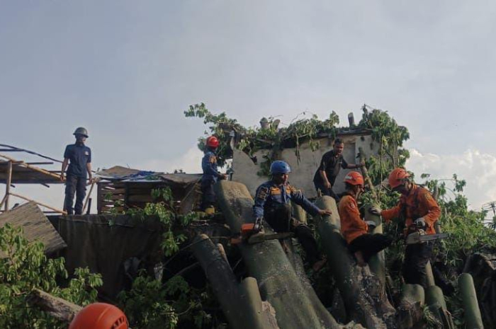 &lrm;Anggota BPBD Kabupaten Bogor melakukan penanganan pohon tumbang yang menimpa rumah industri pembuatan tempe di Citeureup.
