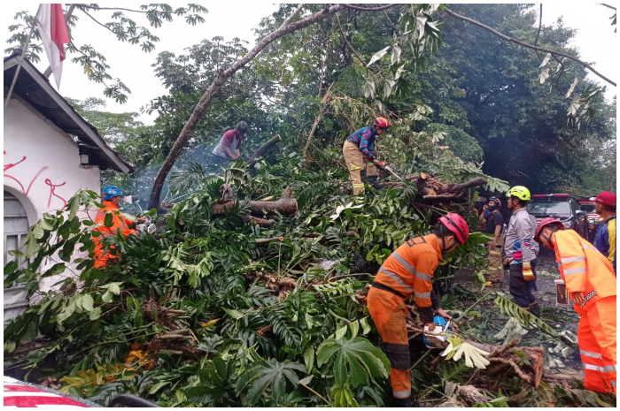 Evakuasi pohon besar yang tumbang di Jalan Paledang Kota Bogor.