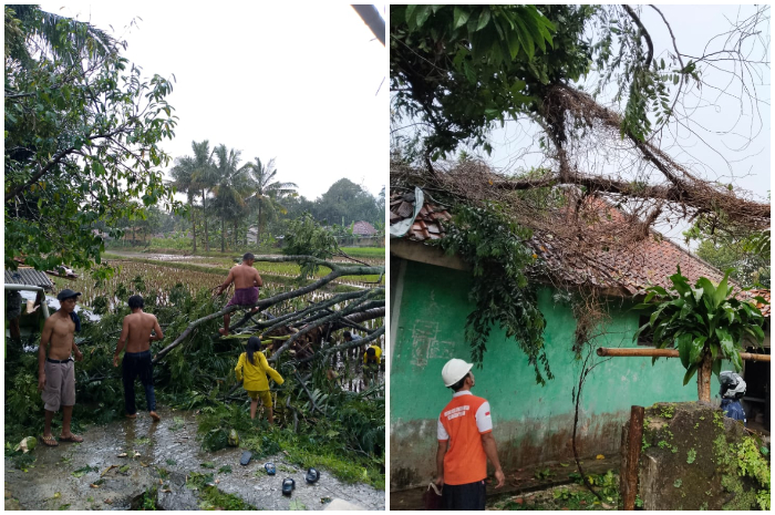 Rumah warga di Desa Cibitung Wetan, Pamijahan yang rusak akibat tertimpa pohon akibat angin kencang.