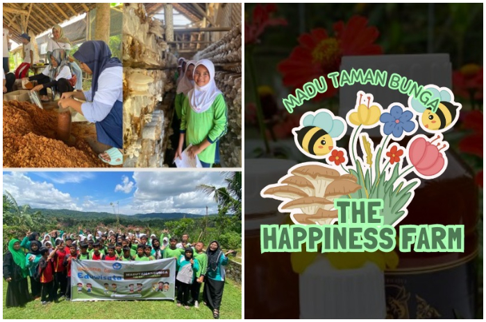 Aktivitas wisatawan di kawasan Madu Taman Bunga The Happiness Farm.