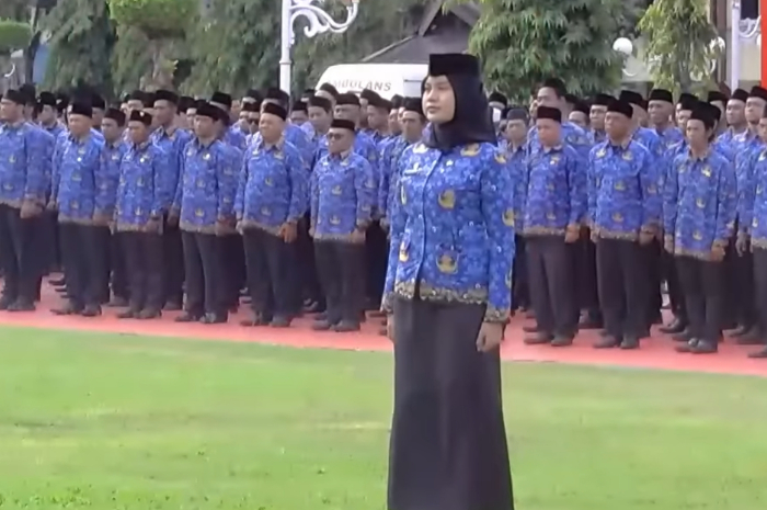 Ilustrasi PPPK Paruh Waktu