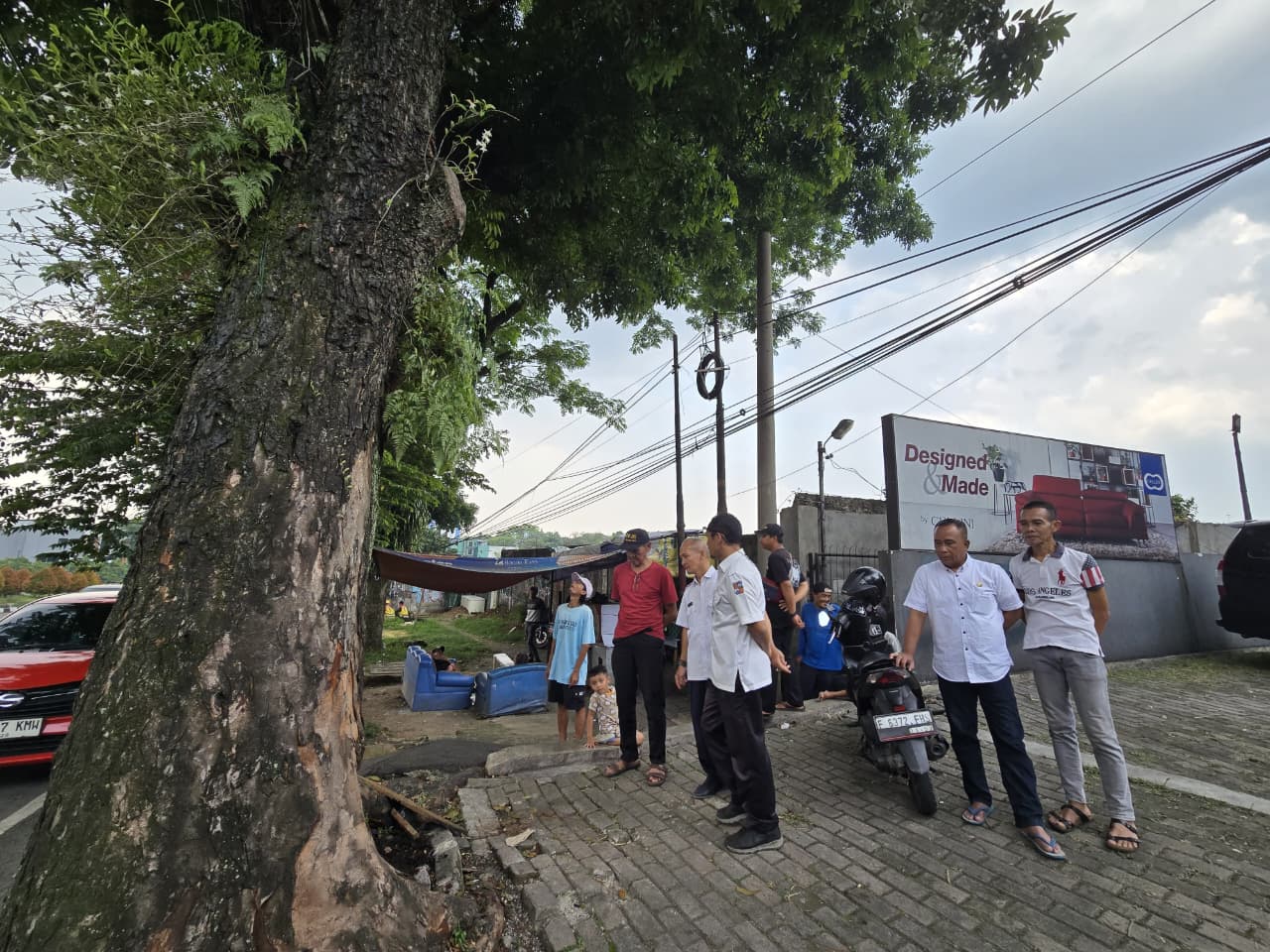 Pohon besar di Jalan Pajajaran, kawasan Sukasari 3, Kota Bogor, terbakar pada Rabu 8 Oktober 2025.