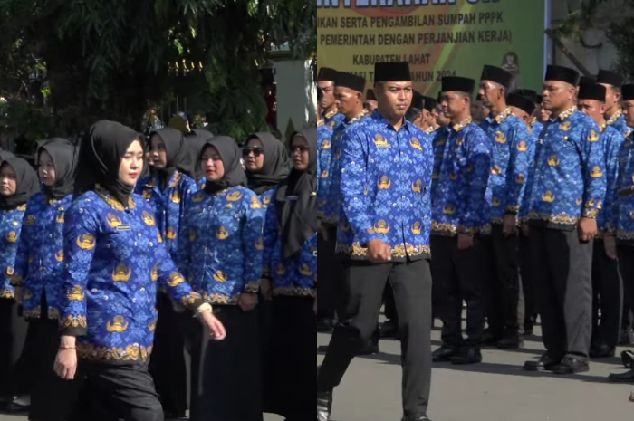 Ilustrasi pegawai PPPK
