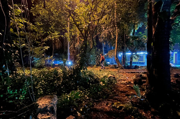 Suasana kawasan hutan kota di Jalan Ahmad Yani Kota Bogor saat malam hari.