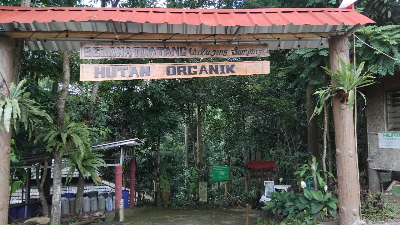 Hutan Organik Megamendung, Kabupaten Bogor.