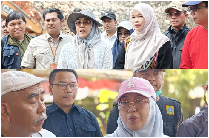 Staf Ahli Menteri Bidang Hubungan Antar Lembaga Pusat dan Daerah KLHK, Hanifah Dwi Nirwana saat menyampaikan keterangan.
