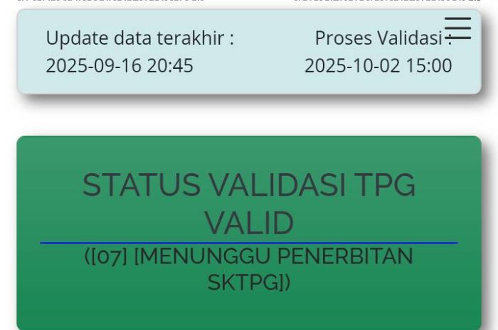 Ilustrasi status validasi SKTP kode 07 tunjangan profesi guru di laman Info GTK.&nbsp;