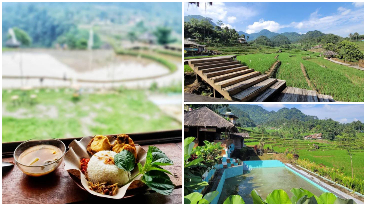 Suasana view terasering persawahan yang indah dengan background Gunung Salak Halimun di Cisalada Rice Terrace