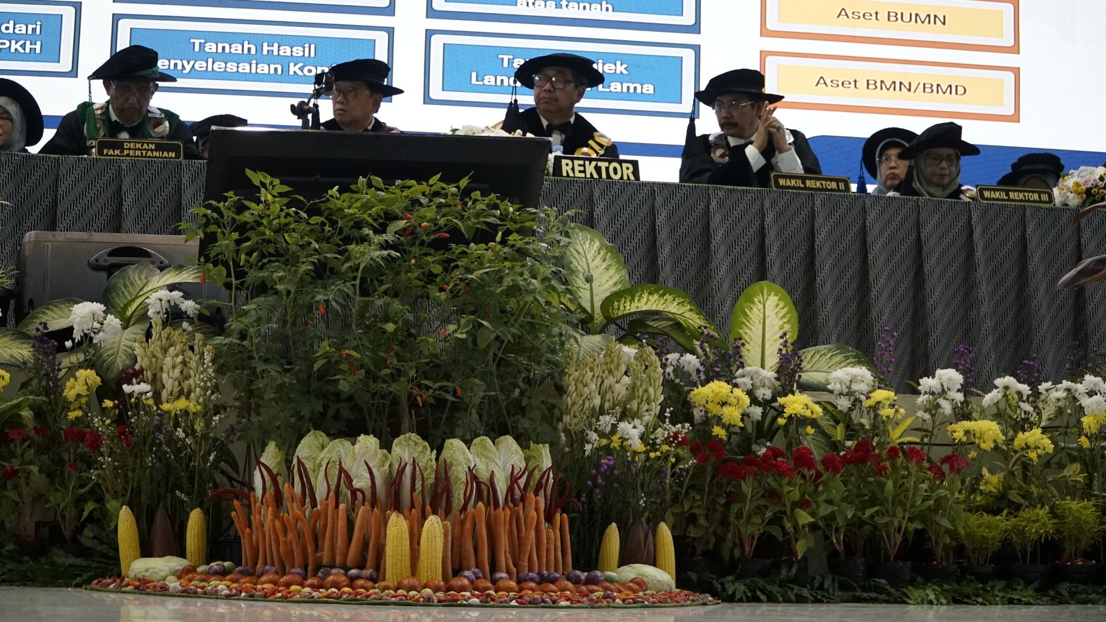 Potret taman sayuran yang menghiasi panggung wisuda UNB Bogor, Sabtu 18 Oktober 2025.