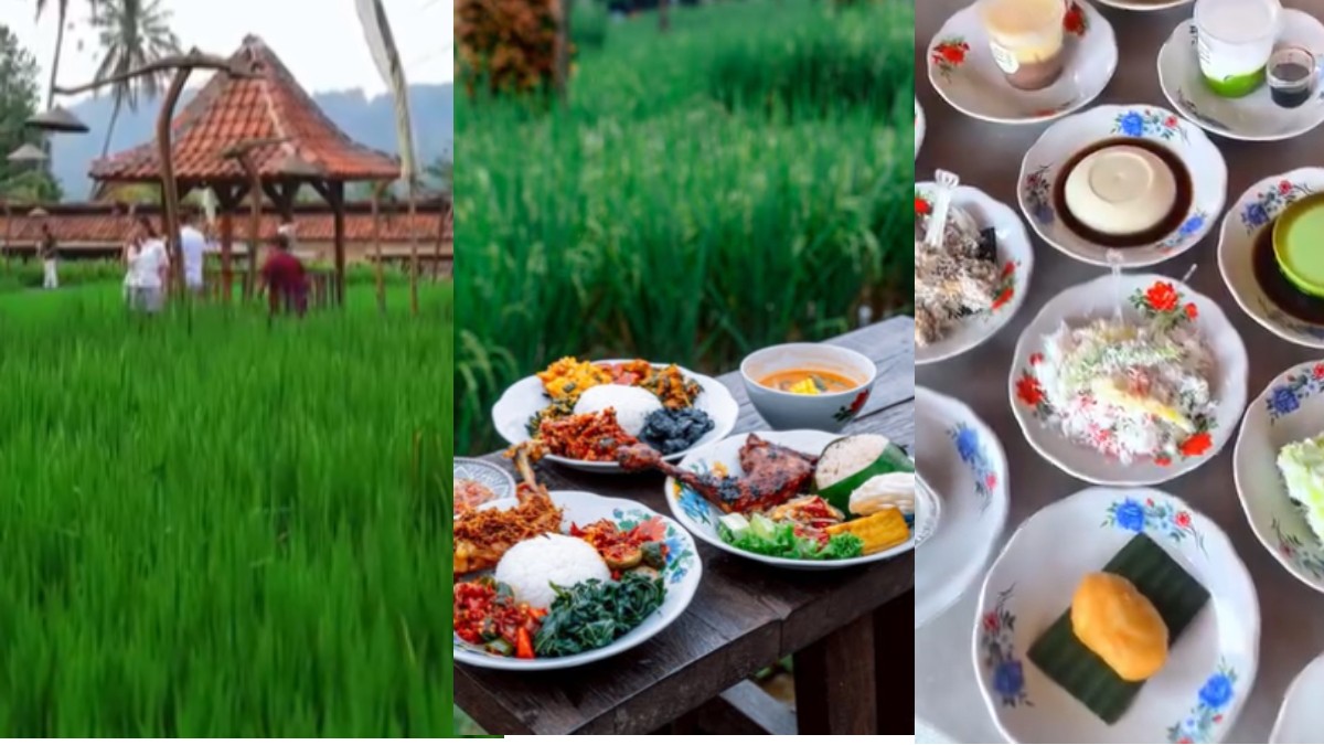 Ngopi di Sawah, healing banget minum kopi, ngemil kue basah sembari menikmati pemandangan sawah.