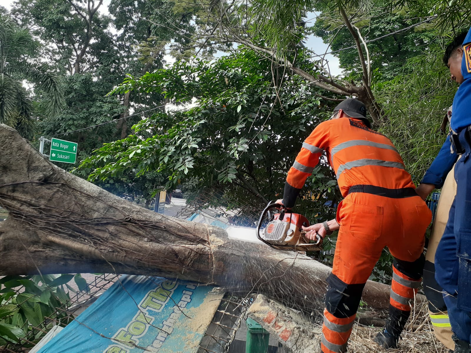 Hujan disertai angin kencang yang melanda Kota Bogor, menyebabkan satu pohon tumbang di Jalan Pajajaran,  Senin 27 Oktober 2025.