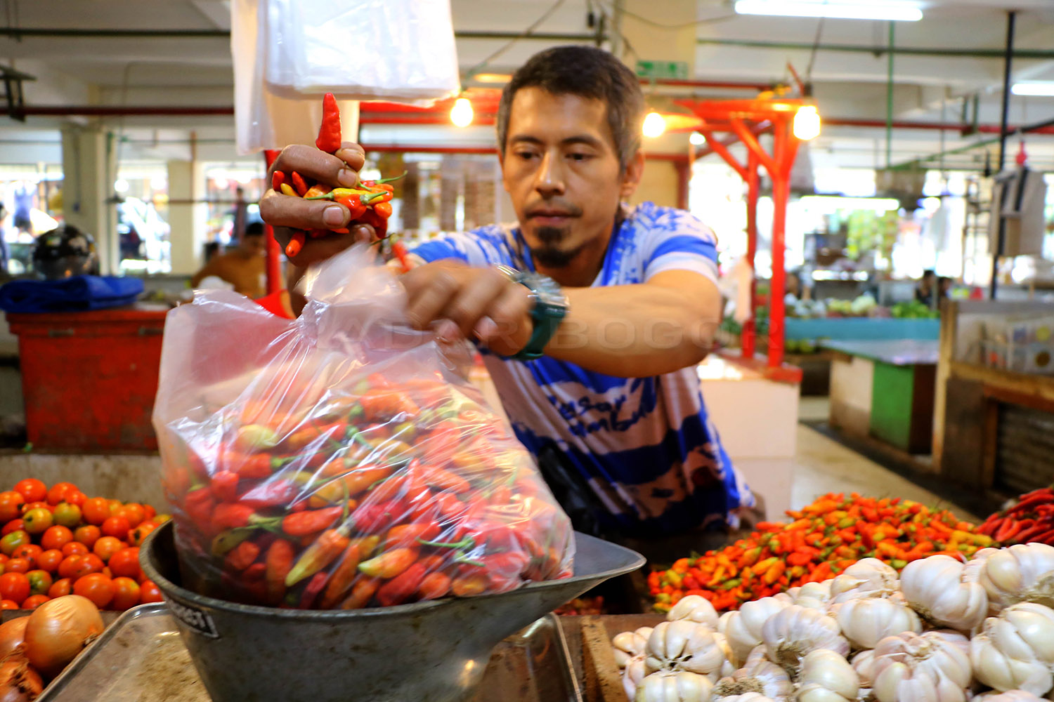 Pedagang cabai di Pasar Jambu Dua, Kota Bogor. Pemkot Bogor merencanakan kurangi penggunaan kantong plastik di pasar tradisional.