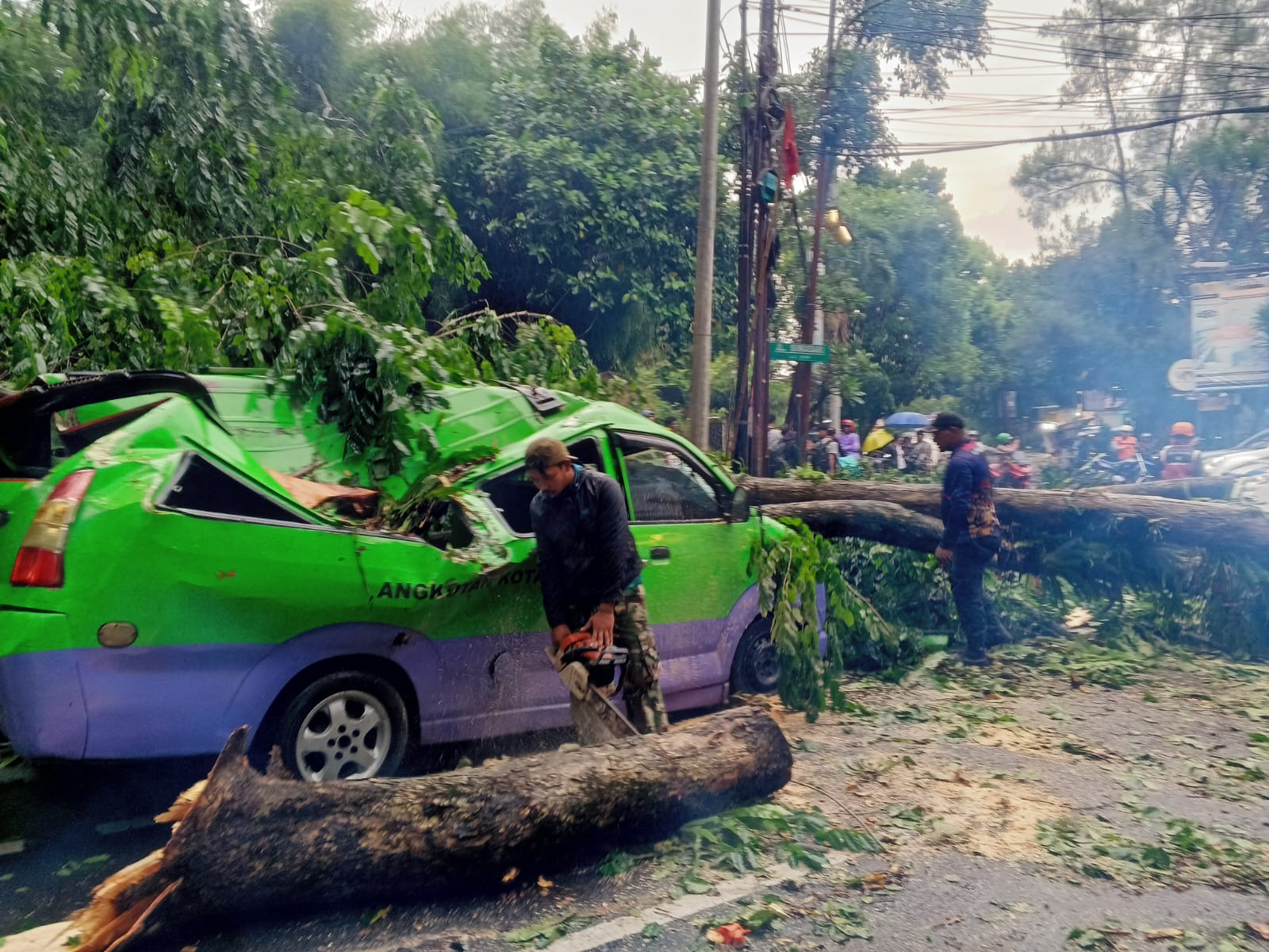 Pohon tumbang di pertigaan Jalan Sukasari, Jalan Pajajaran, Kota Bogor, mimpa satu unit angkot.
