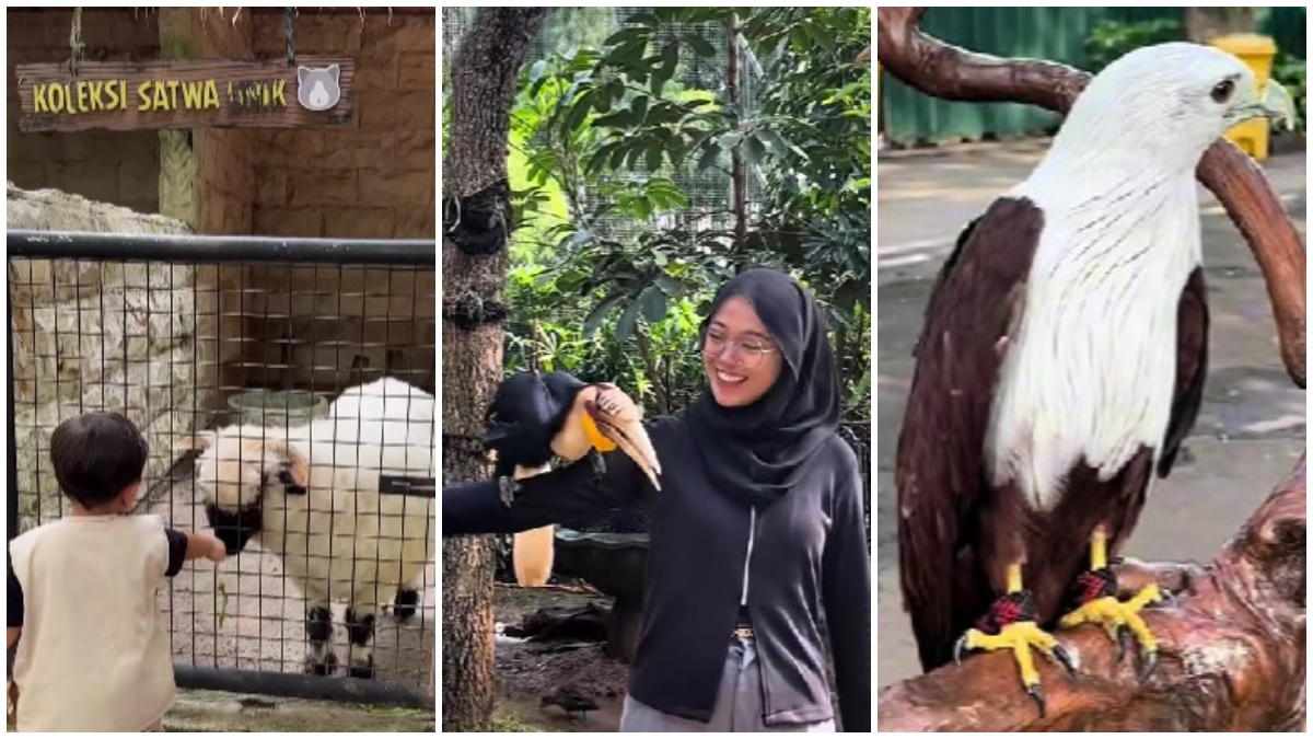 Suasana pengunjung di kawasan Faunaland Ancol Jakarta.