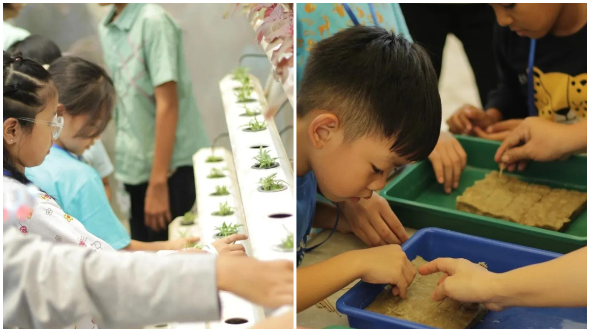 Wisata edukasi House of Bread Farming.