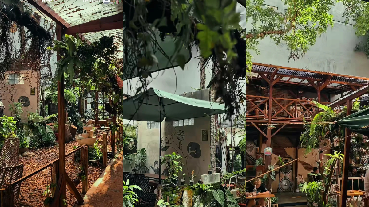 Tempat Nongkrong Oksigasi Space