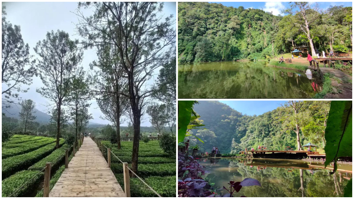 Keindahan suasaha alam di kawasan Telaga Warna Puncak Bogor.