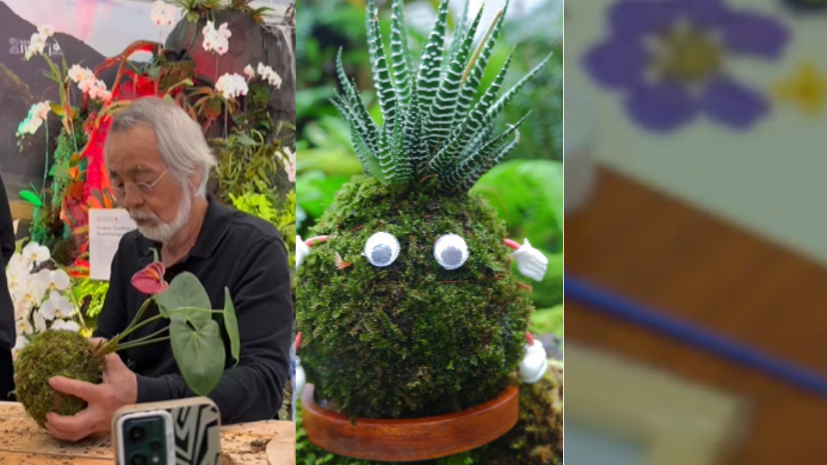 Kokedama dan Oshibana, wisata edukasi budaya Jepang yang menjadi momen tak terlupakan.