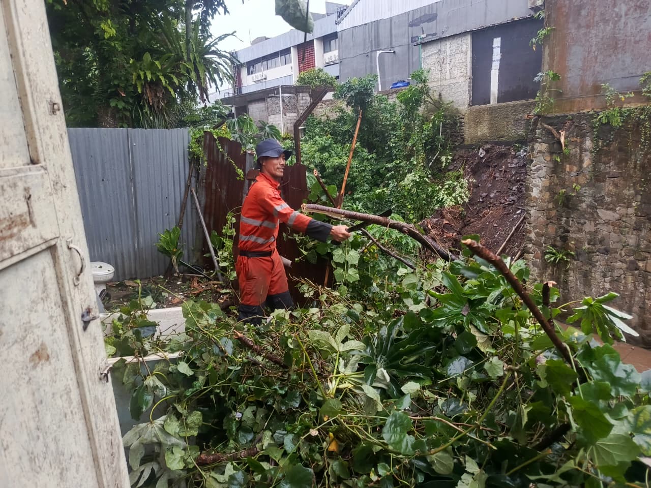 Pohon tumbang dan atap roboh terjadi usai hujan deras melanda Kota Bogor, Selasa 18 November 2025.