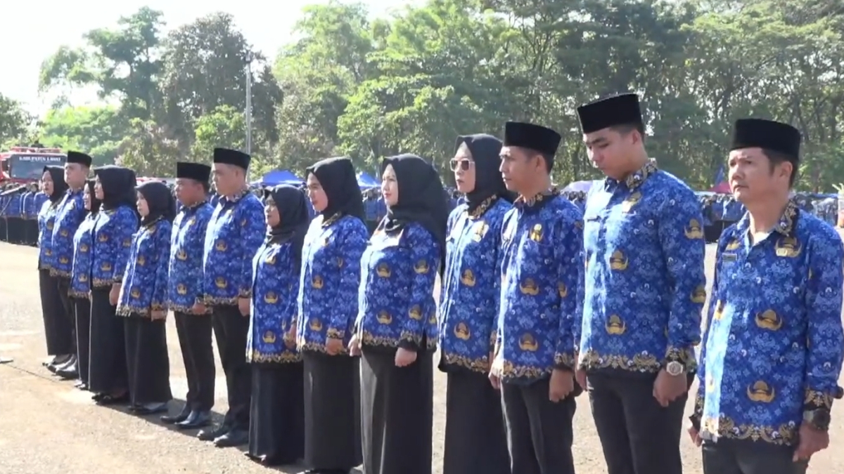 Ilustrasi PPPK dan PNS