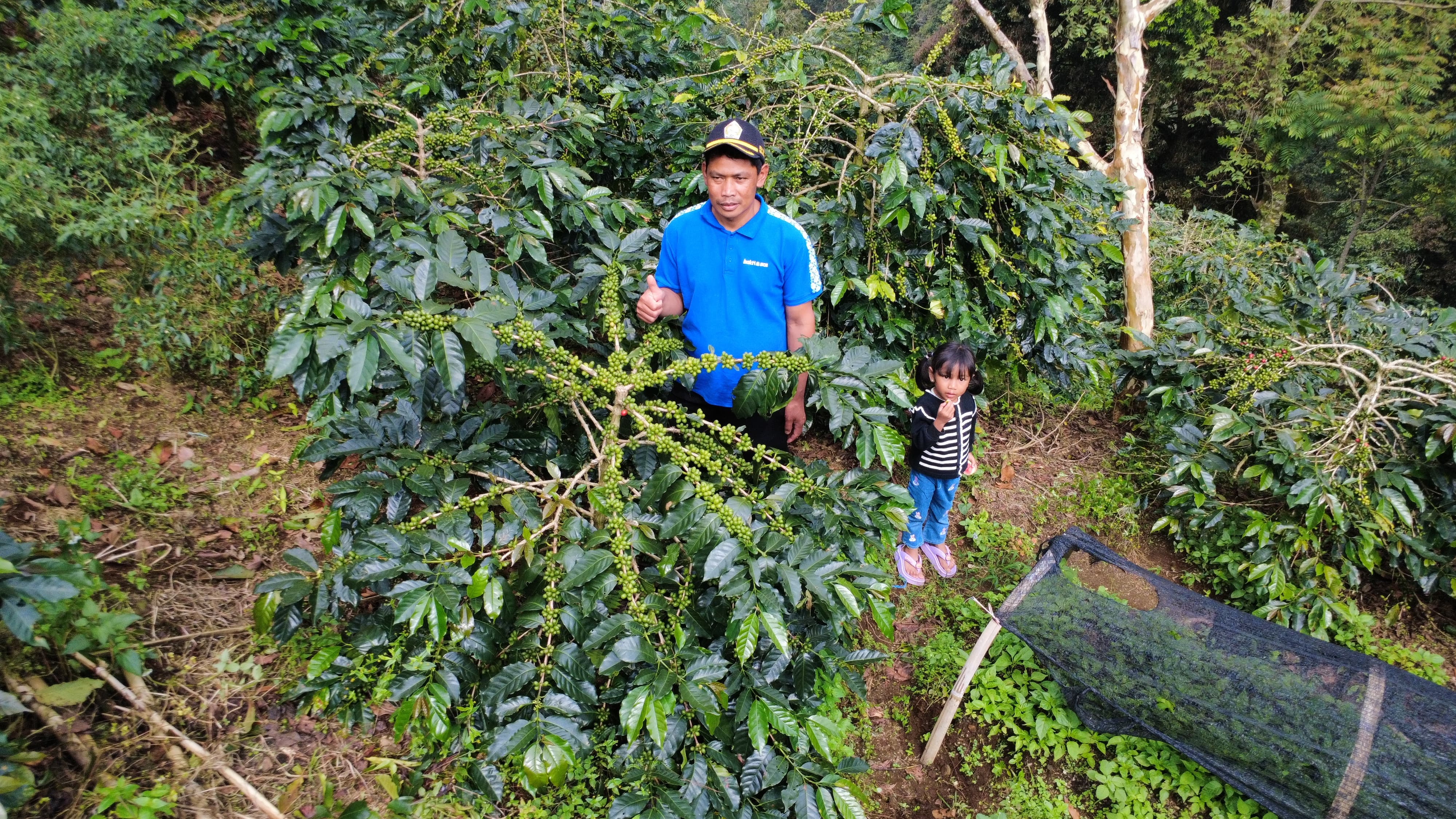 Kelompok Tani Cikoneng Lestari di Desa Tugu Utara, Cisarua yang fokus dalam pengembangan Kopi Cikoneng khas Puncak.