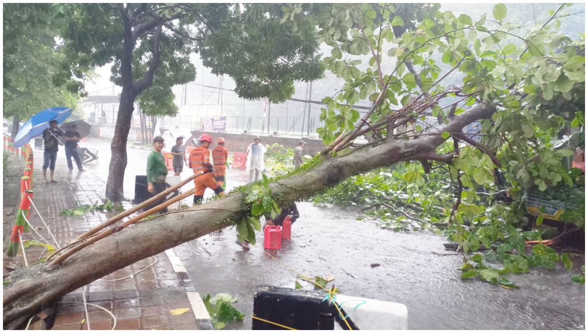 Kondisi pohon tumbang yang terjadi di Kelurahan Sempur, Kota Bogor.
