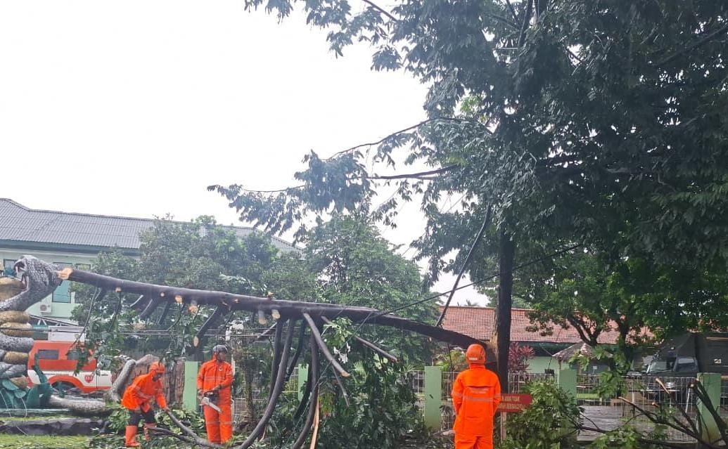 Petugas BPBD mengevakuasi pohon tumbang di Desa Cimandala, Kecamatan Sukaraja, Kabupaten Bogor, Selasa 18 November 2025.