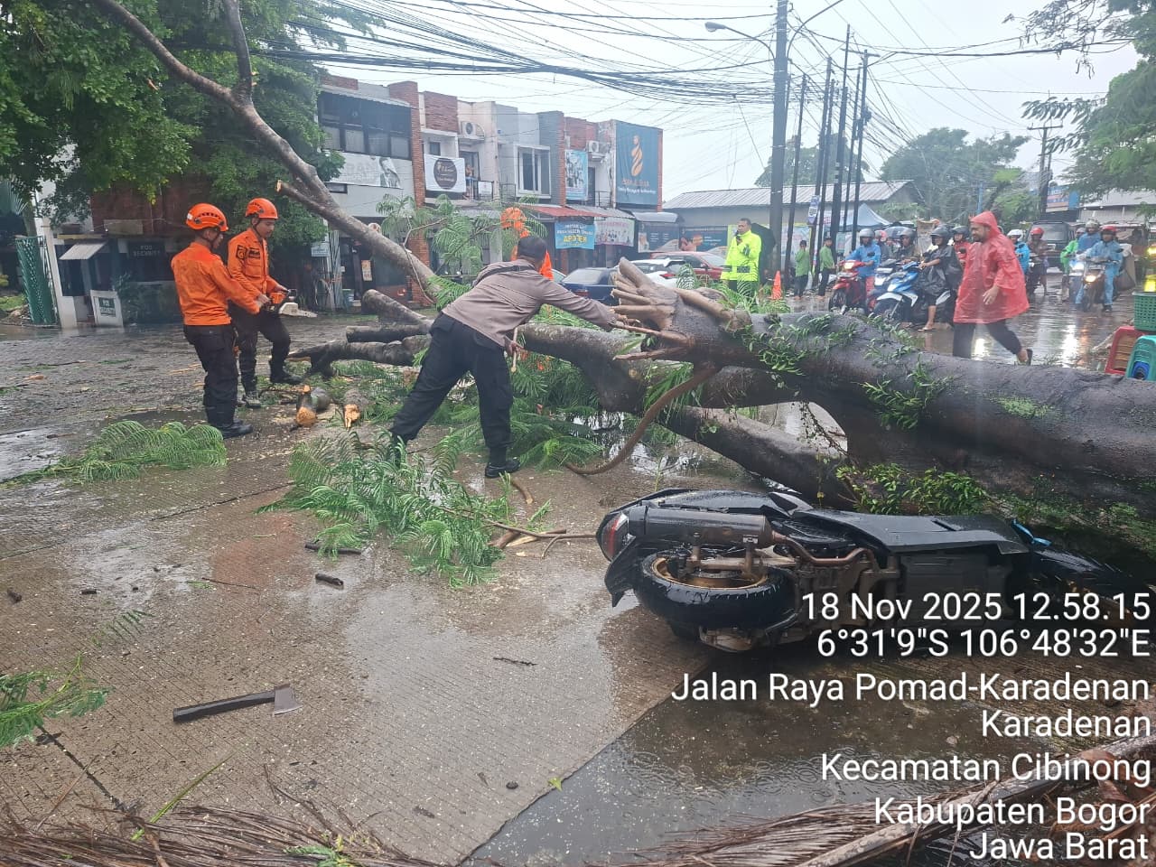 Petugas BPBD Kabupaten Bogor, mengevakuasi pohon tumbang di Kampung Kaumpandak, Kelurahan Karadenan, Kecamatan Cibinong, Kabupaten Bogor, Selasa 18 November 2025 pukul 12.00 Wib.