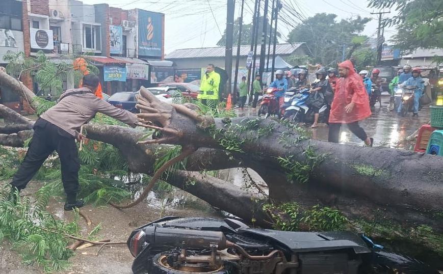 Pohon tumbang menimpa satu unit sepeda motor di Kelurahan Karadenan, Kecamatan Cibinong, Kabupaten Bogor.