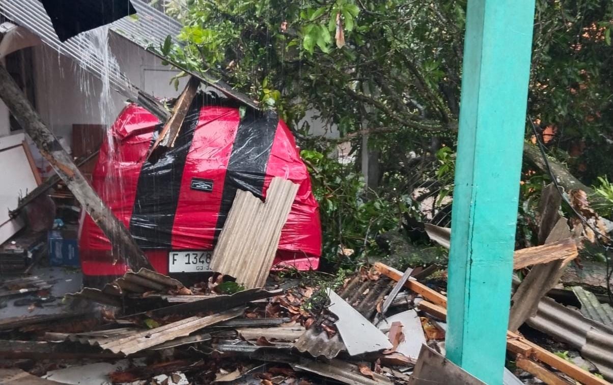 Hujan deras disertai angin kencang mengakibatkan pohon tumbang di Kampung Pasir Angin Gadog, Desa Pasir Angin, Kecamatan Megamendung, Selasa 18 November 2025.