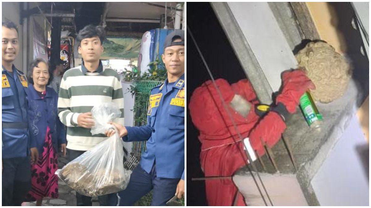 Penanganan sarang tawon di permukiman warga di Bogor Selatan Kota Bogor