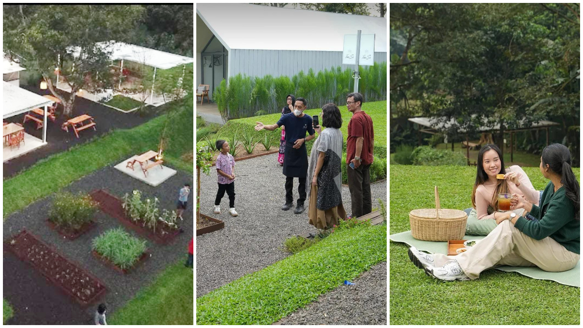 Suasana&nbsp;Tansu Parung Plantation.