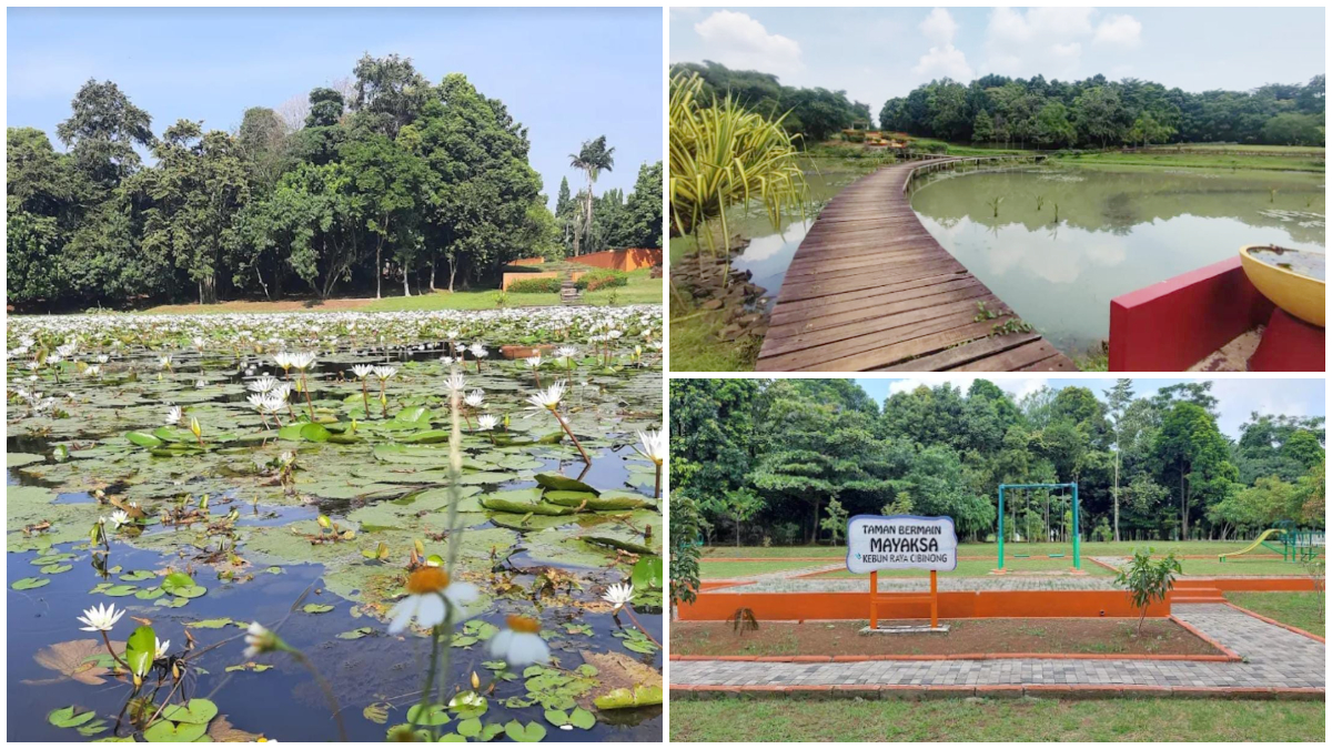 Suasana Kebun Raya Cibinong.