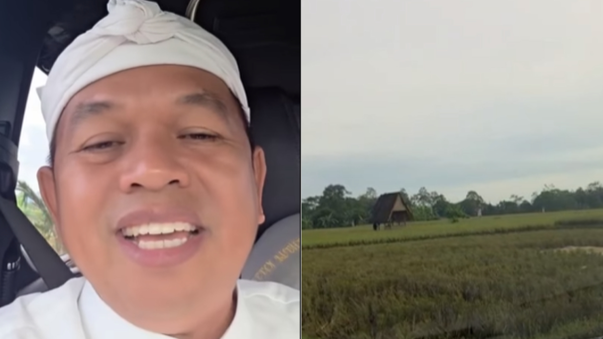 Gubernur Jawa Barat Dedi Mulyadi memperlihatkan hamparan sawah di Lembur Pakuan.