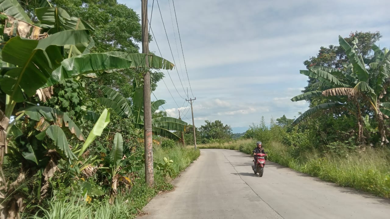 Kondisi Ruas Jalan Dago - Cikuda, Kecamatan Parung Panjang, yang minim penerangan jalan atau PJU sehingga rawan tindak kejahatan.