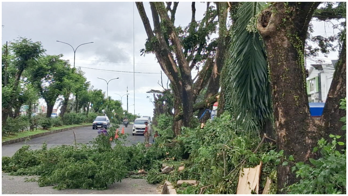 Pemangkasan pohon berisiko tumbang di sepanjang Jalan Tegar Beriman, Cibinong, Kabupaten Bogor.