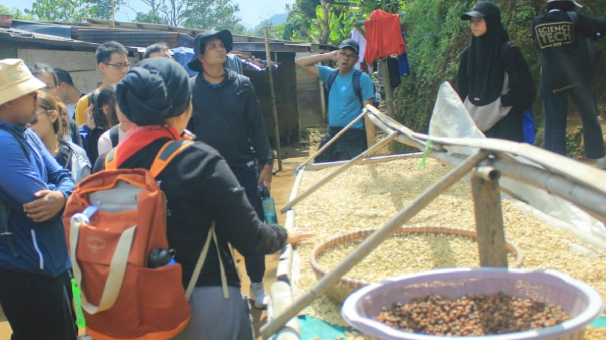 Wisatawan saat melakukan wisata edukasi Kopi Cibulao di Desa Tugu Utara, Kecamatan Cisarua, Kabupaten Bogor.
